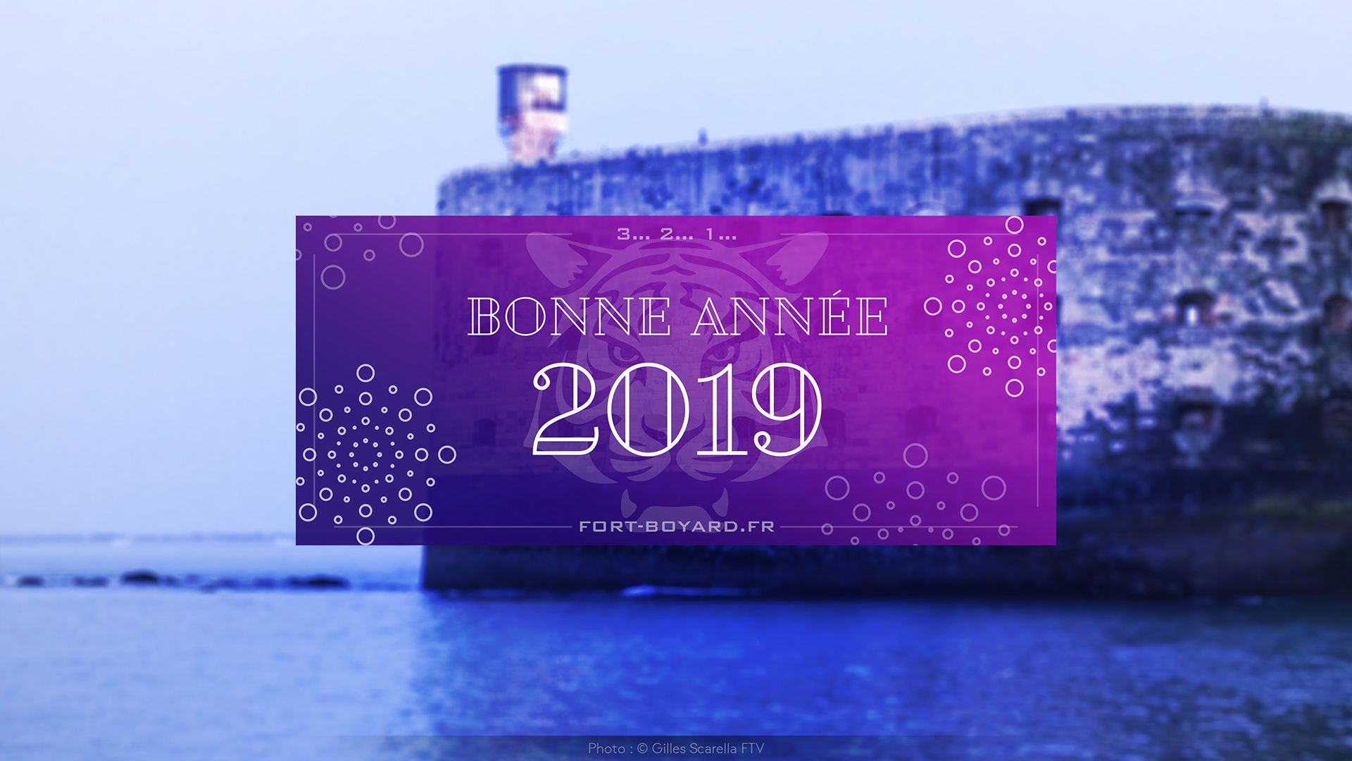 Bonne Année 2019