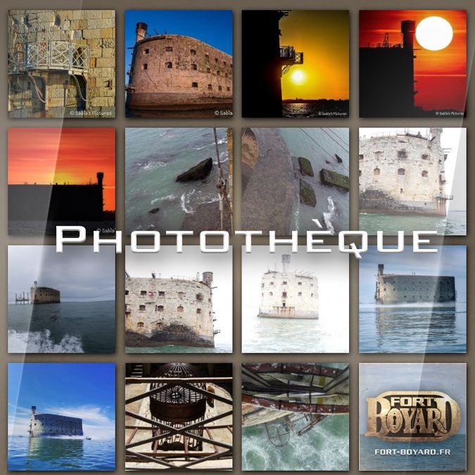 Les dernières photos