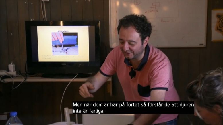 La cellule 116 en 2019