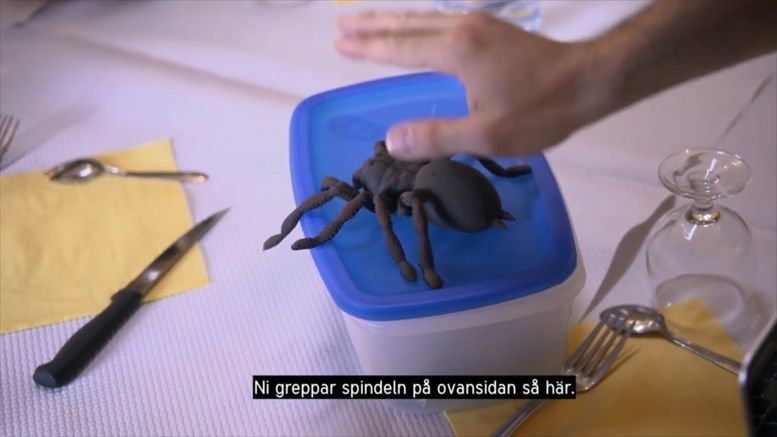 La cellule 116 en 2019