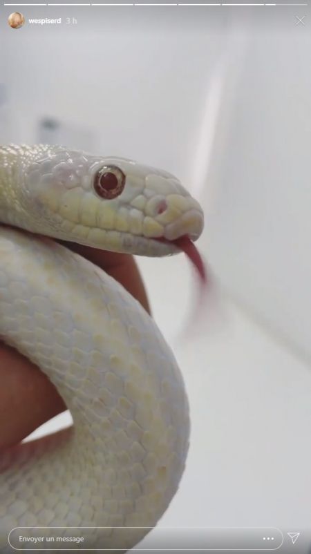 Le serpent de Blanche