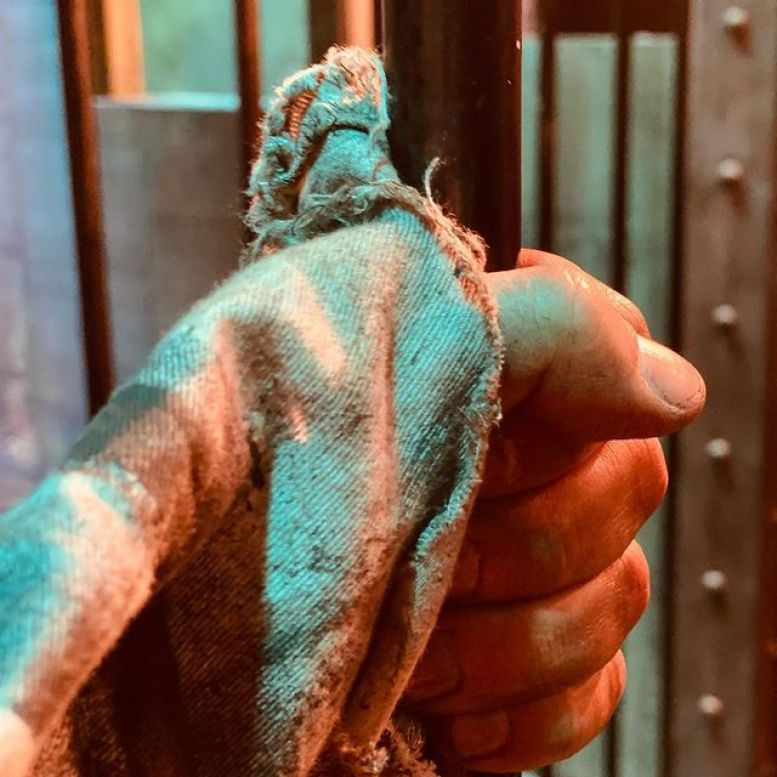 Prison break...or not