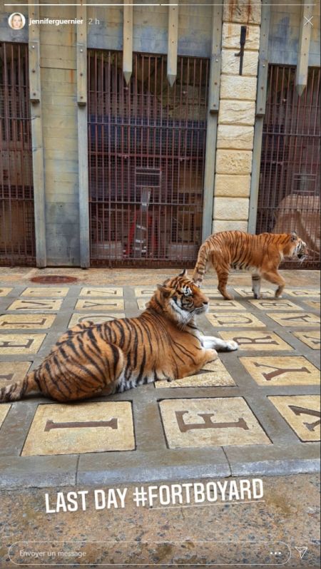 Les tigres dans la Salle du Trésor