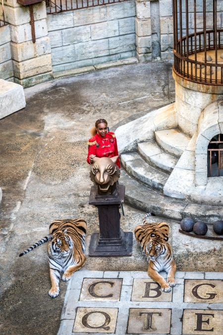 Félindra et ses tigres dans la Salle du Trésor
