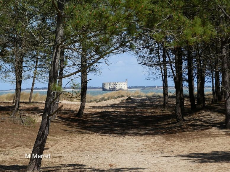 Le fort le 1er avril