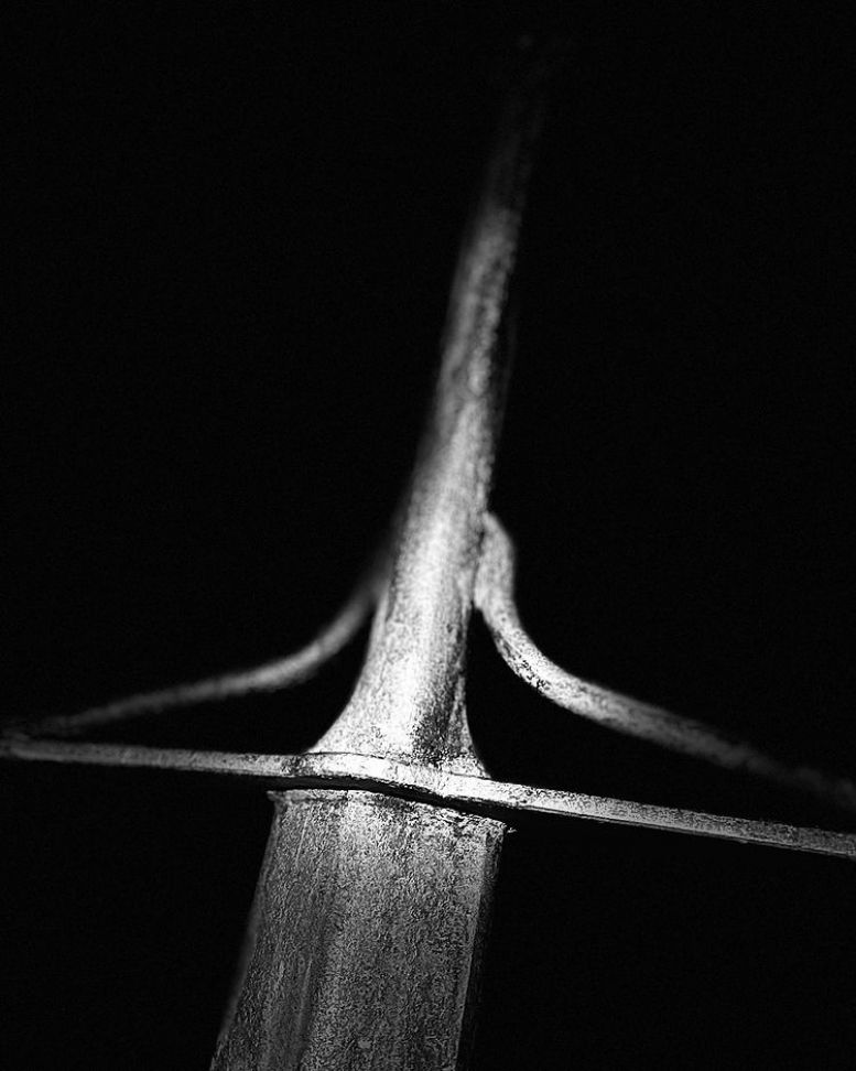 La photo du jour
