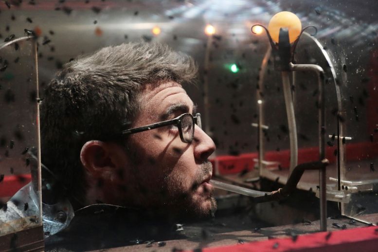 Cyprien dans l\'aventure de la Tête chercheuse