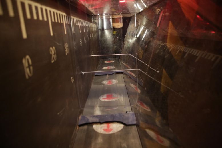 Le parcours des prisonniers