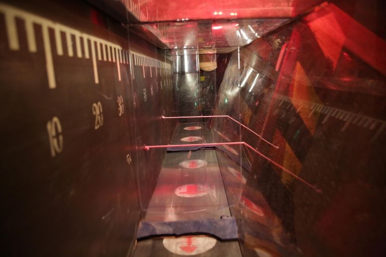 Le parcours des prisonniers