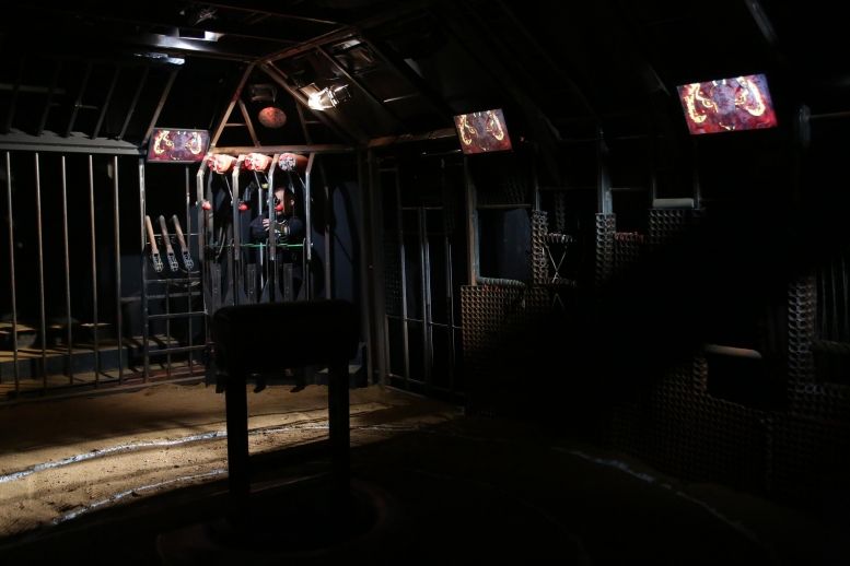 La Cage