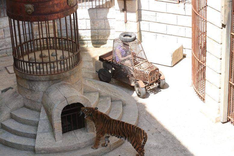 Tony Parker dans le Safari