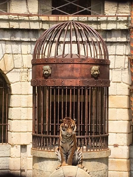 #FortBoyard
Jour 10.