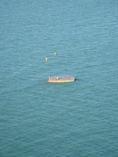 La barge au loin vue de la vigie