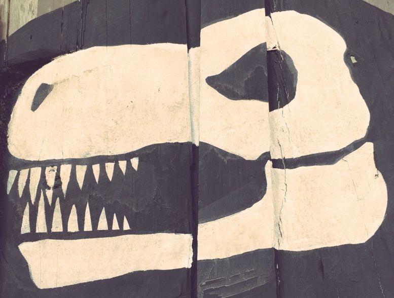 Profitez de ce jour férié pour décomposer la #photodujour #fortboyard