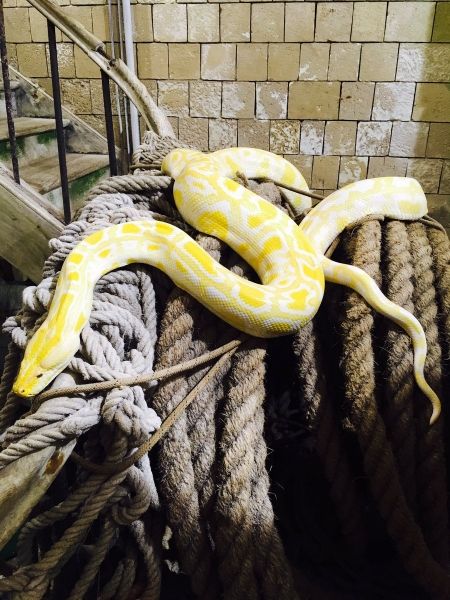 C'est le jour 8 #FortBoyard