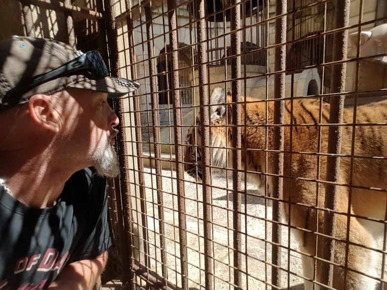 Vincent Lagaf avec un tigre