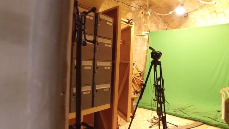 La cellule fond vert (cellule 117) en 2016