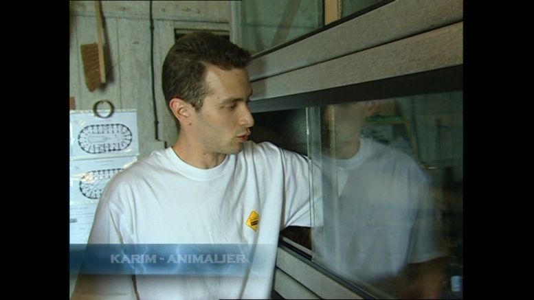 L'Animalerie (cellule 215a) en 2004.