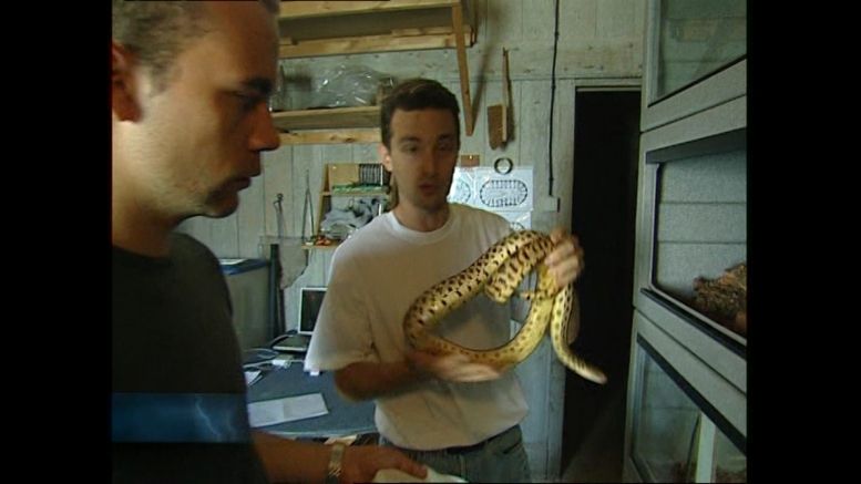 L'Animalerie (cellule 215a) en 2004.