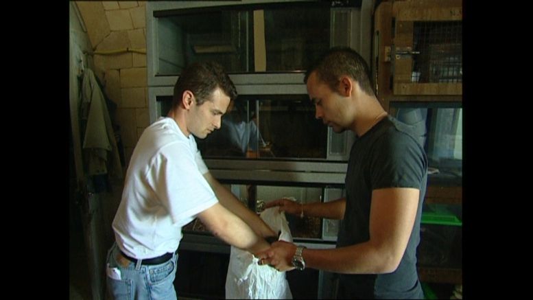 L'Animalerie (cellule 215a) en 2004.