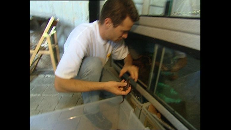 L'Animalerie (cellule 215a) en 2004.