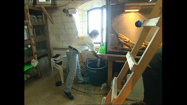 L'Animalerie (cellule 215a) en 2004.