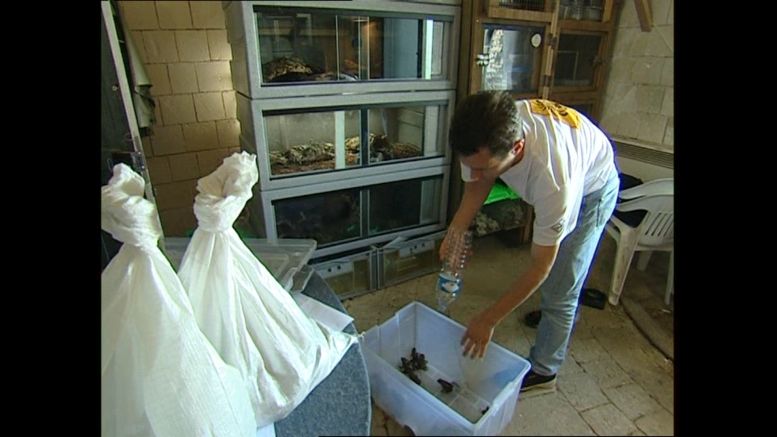L'Animalerie (cellule 215a) en 2004.