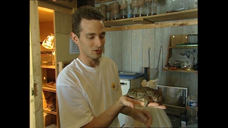 L'Animalerie (cellule 215a) en 2004.