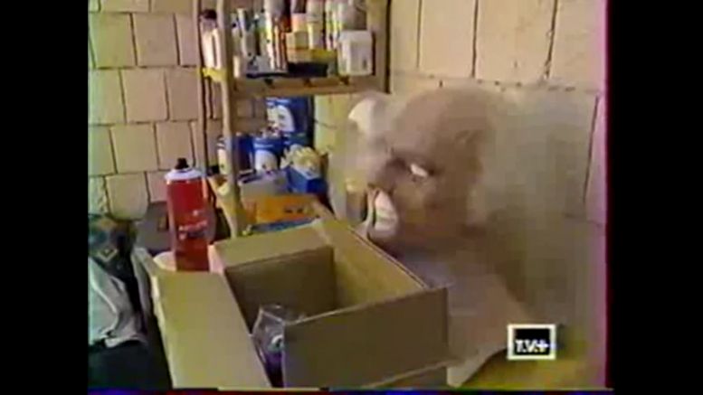 Les loges maquillage et costumes (cellule 020 021) en 2000