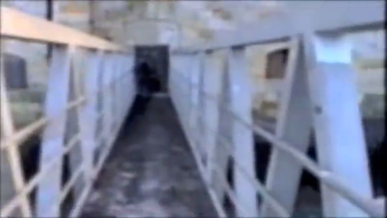 La passerelle de la plateforme extérieure en 1994