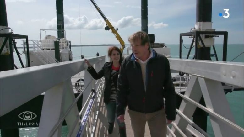 La plateforme extérieure et sa passerelle en 2018
