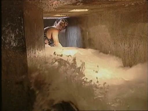 Les diurnes de 1991