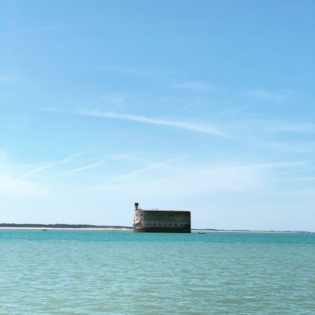 Bonne nouvelle: il est toujours là ????
#FortBoyard30Ans
#tv #tvshow #culte #anniversaire #birthday #surprise @france2