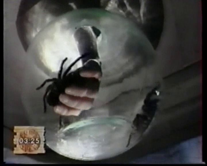 Les débuts de Fort Boyard