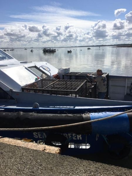 Embarquement des tigres