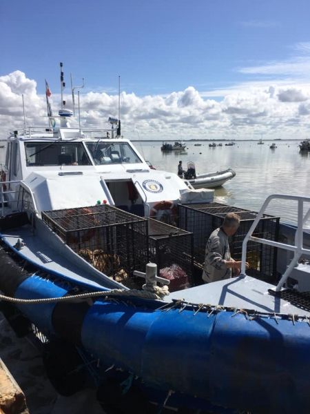 Embarquement des tigres