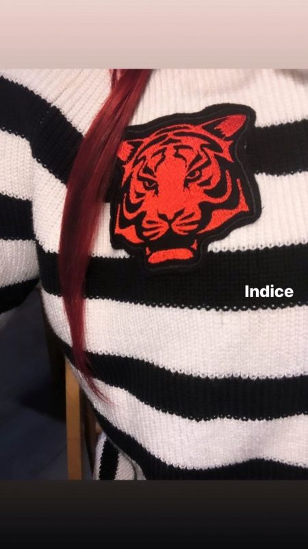 Nouvel indice de Delphine Wespiser : un pull rayé avec une tête de tigre