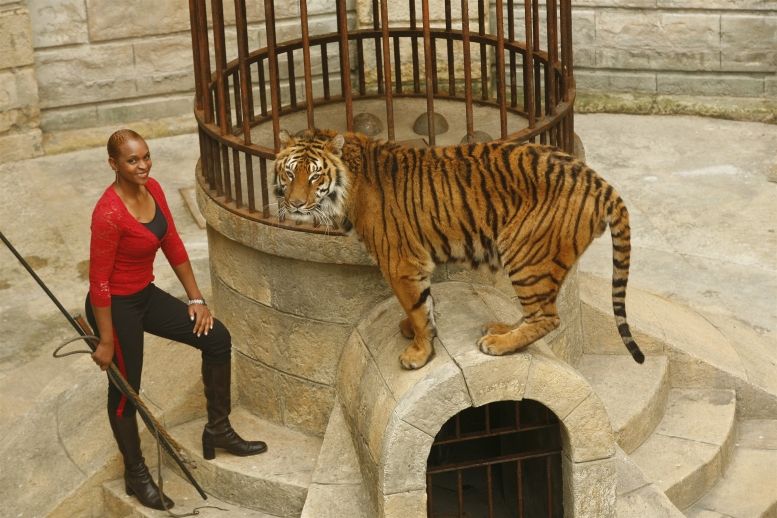 Félindra et un tigre dans la Salle du Trésor