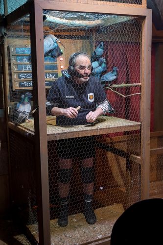 Bruno Solo dans le Cabinet de Curiosités