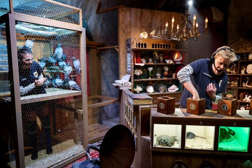 FORT BOYARD 2026
EQUIPE F - MOTEUR !
FORT BOYARD 2026
Equipe F: Charles Dore
Genre :
DIVERTISSEMENT/JEU