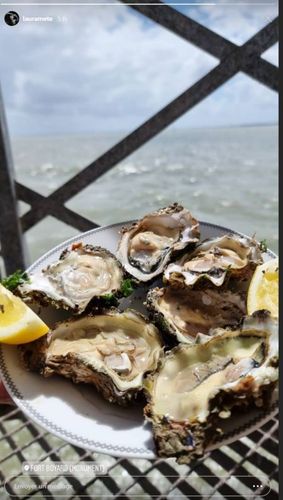 La repas du jour : huitres