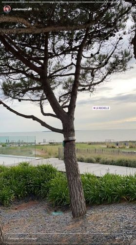 Carla Lazzari est arrivé à l'hôtel
