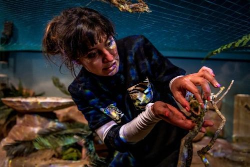 Laetitia Milot dans la cellule du Zoo