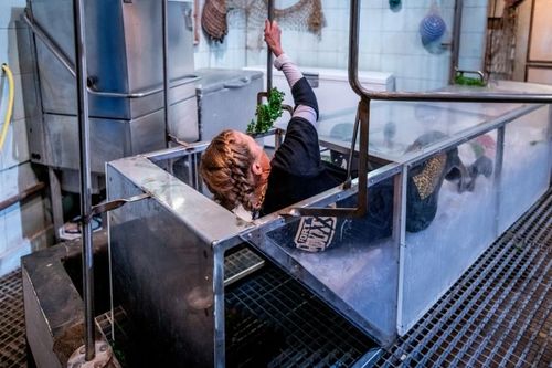 Agathe Lecaron dans la cellule de la Chambre Froide