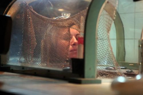 Une candidate testeuse dans la Tête Chercheuse