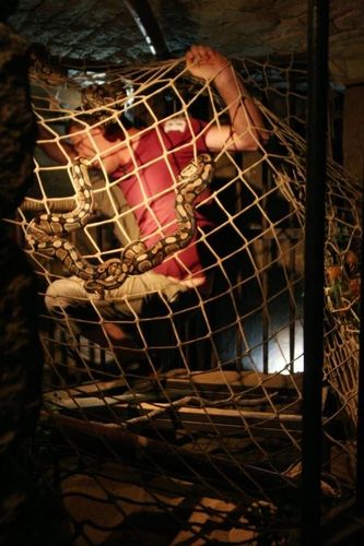 Le parcours d'évasion des prisons