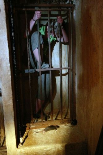 Les prisons du fort en 2005