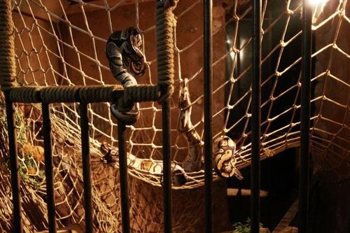 Le parcours d'évasion des prisons