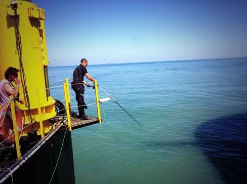 A midi sur #FortBoyard c'est poisson ... Enfin si ça mord