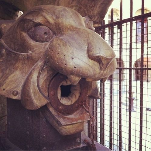 Une tête de tigre